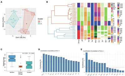 Key Factors Governing Microbial Community in Extremely Acidic Mine Drainage (pH <3)